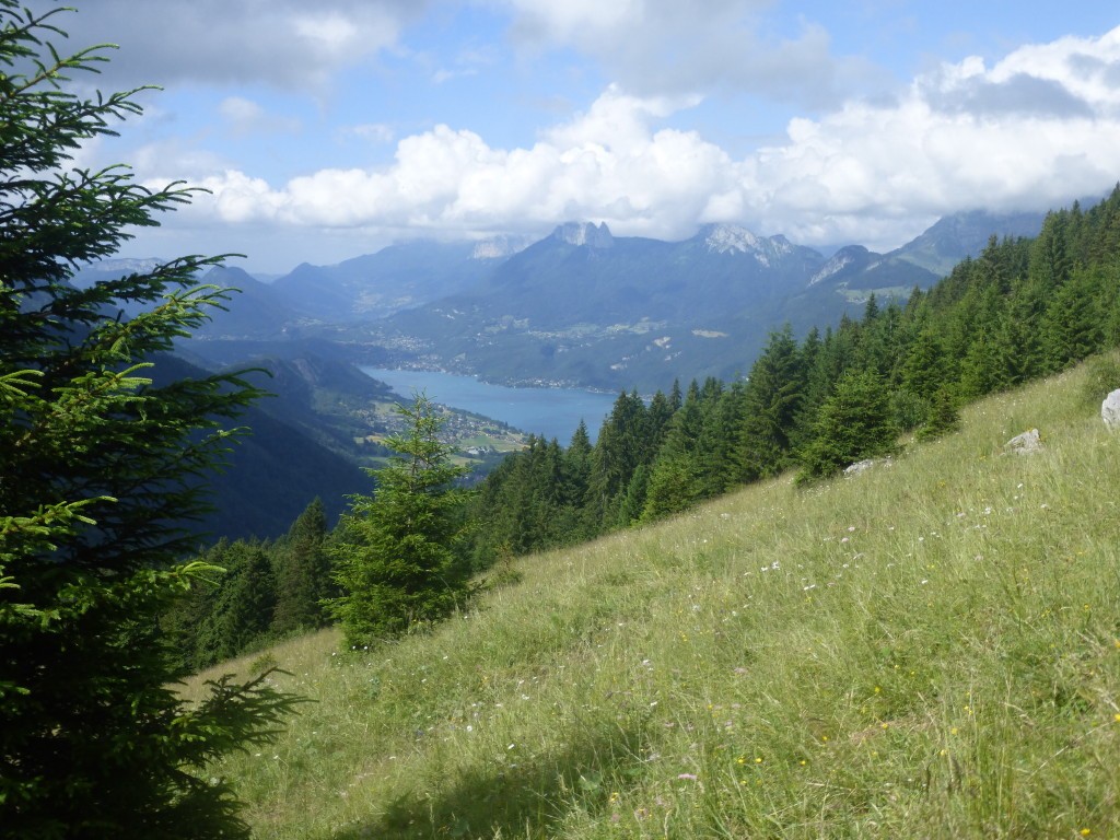 2023 r12 les bauges la montagne du charbon 2 juillet 66 