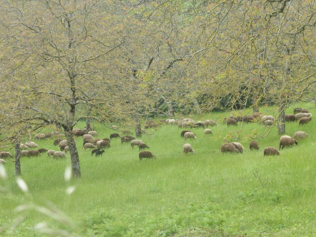 2023 r8 pont en royans 21 mai 22 