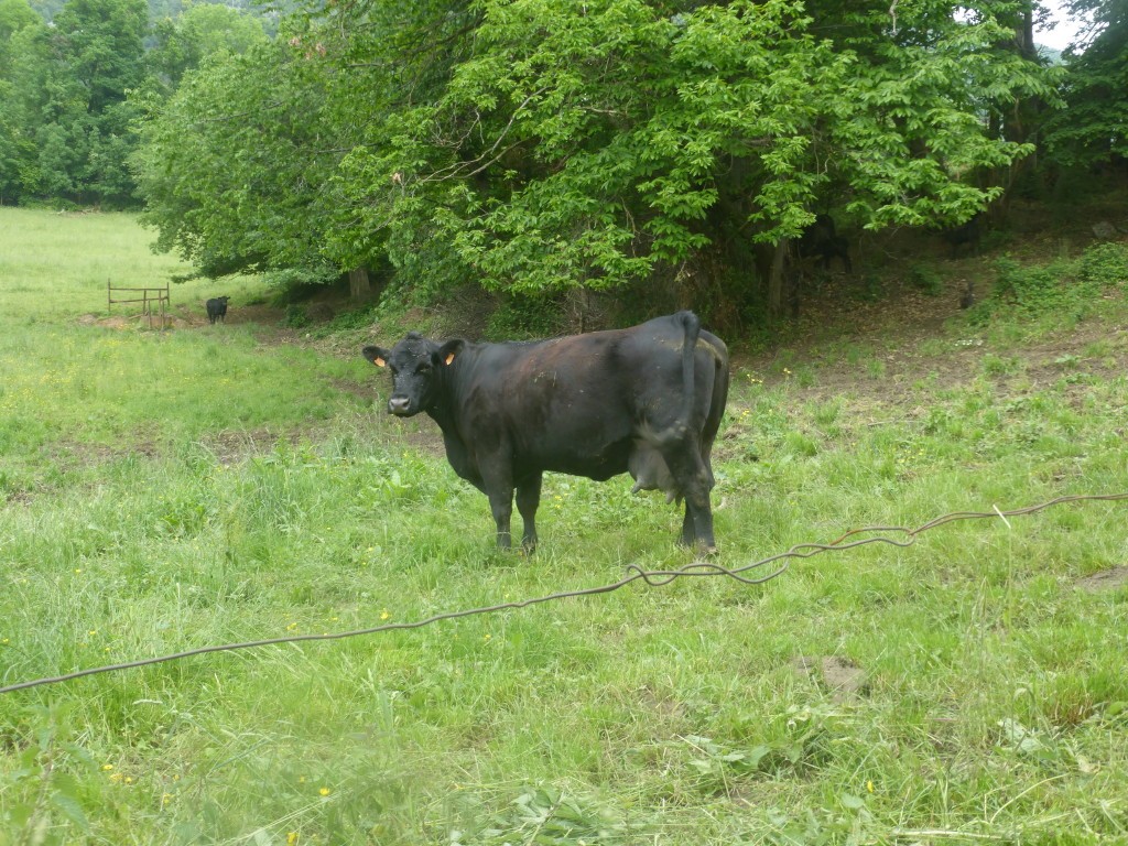 2023 r8 pont en royans 21 mai 23 