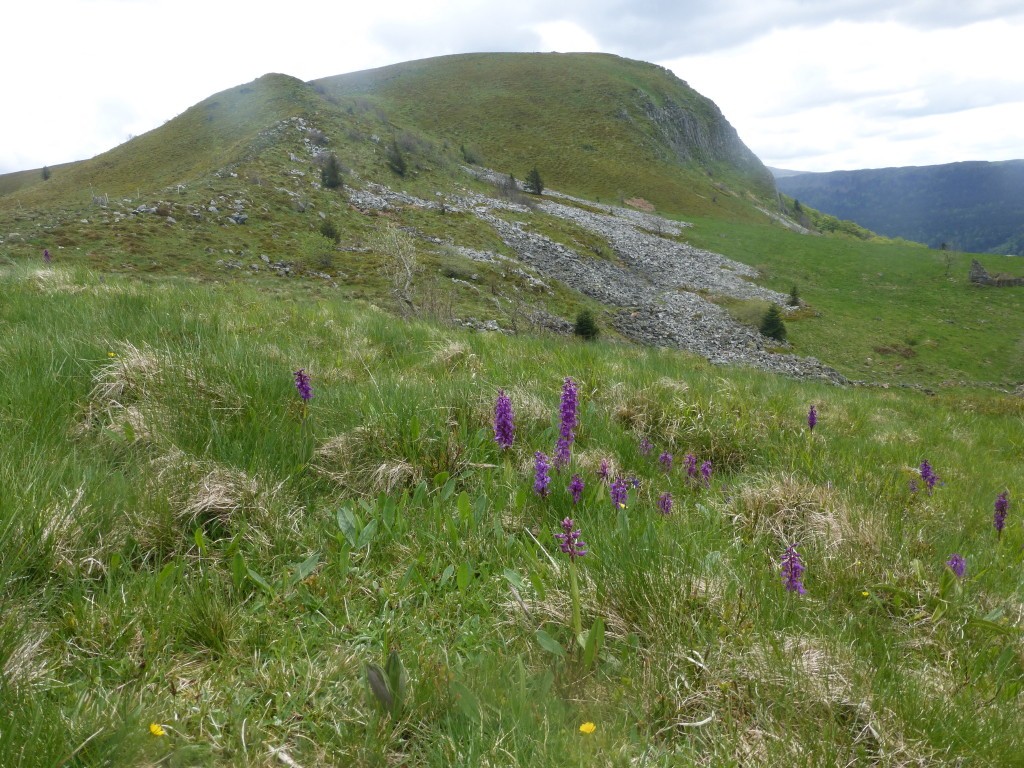 2024 r7 we auvergne murol 24 26 mai 100 