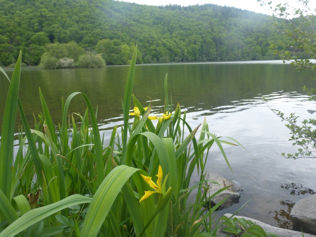 2024 r7 we auvergne murol 24 26 mai 142 