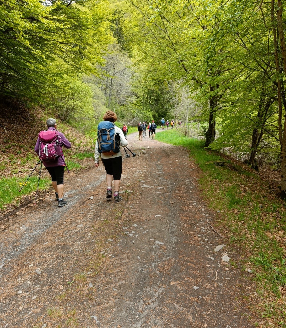 2024 r7 we auvergne murol 24 26 mai 202 