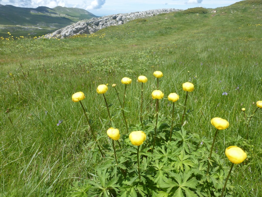 2024 r9 vercors font d urle 16 juin 94 