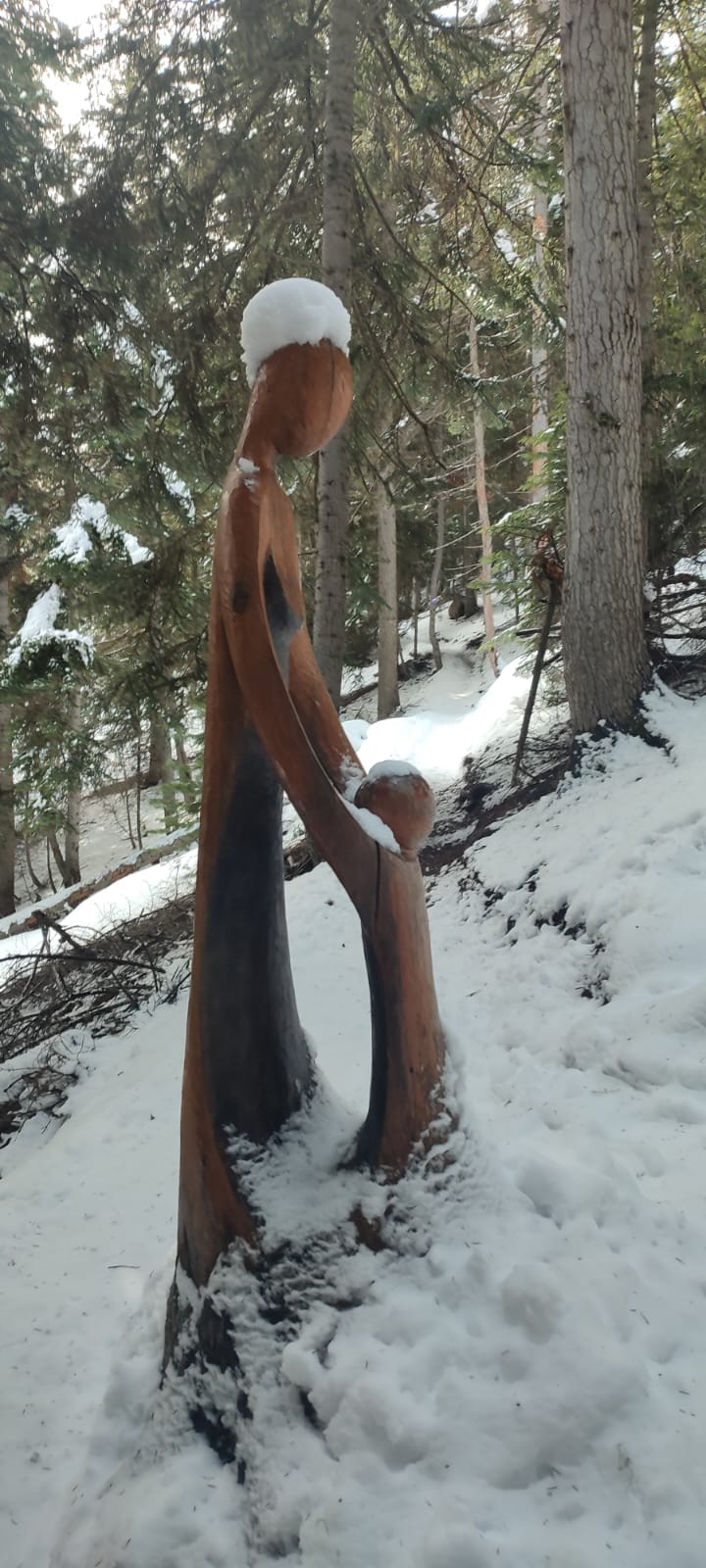 2025 h1 we aussois 1 2 fevrier 100 1 