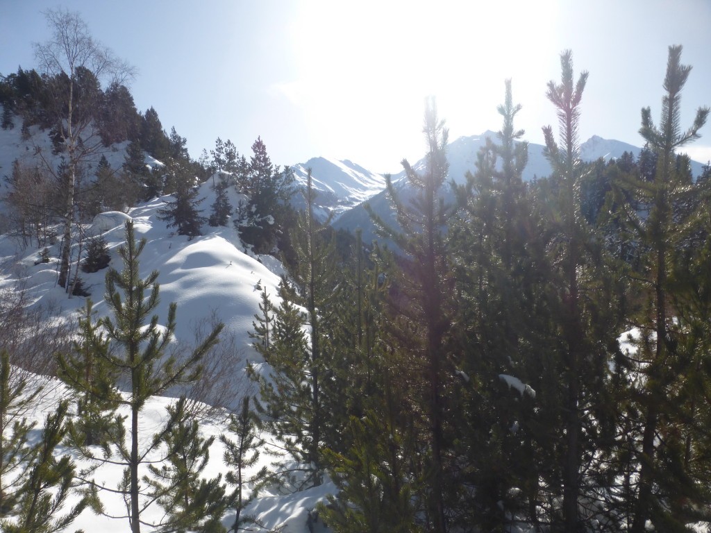 2025 h1 we aussois 1 2 fevrier 66 