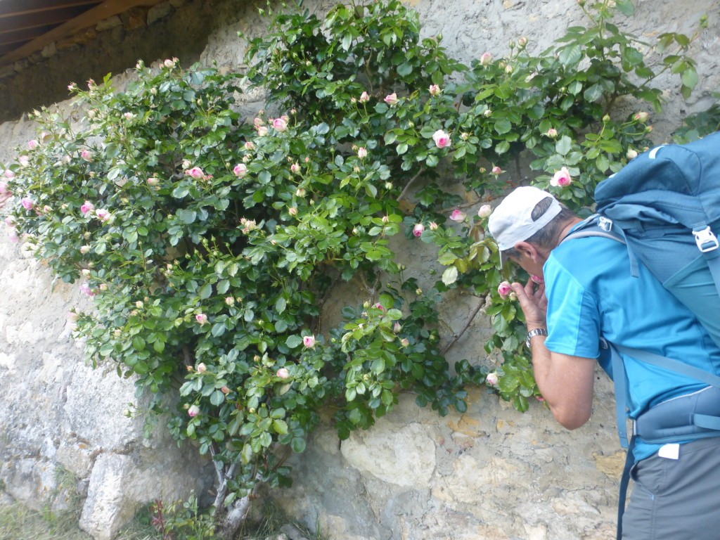 2025 r6 ain artemare cerveyrieu circuit cascade gorges 11 mai 72 