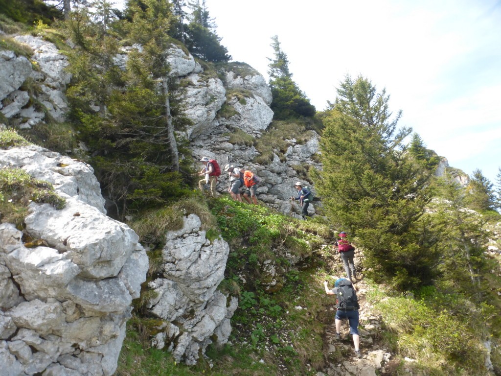 2025 r9 chatreuse le charmant som par col de la charmette 1er juin 42 