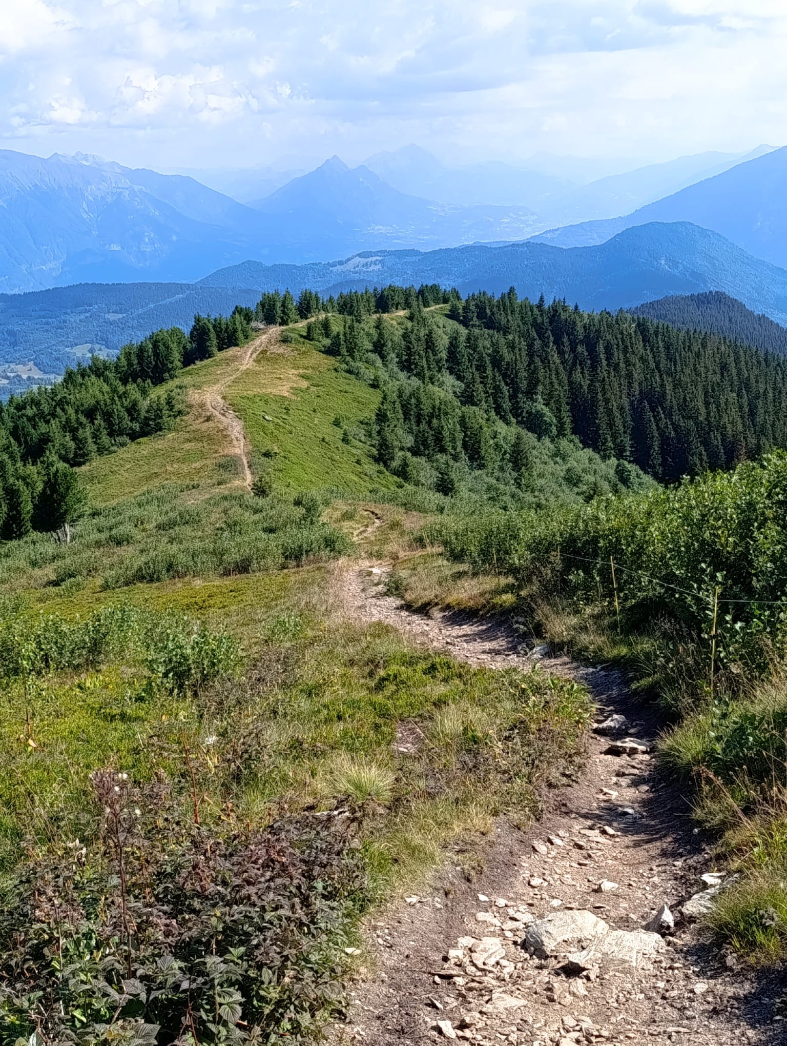 Img 20260720 wa0007