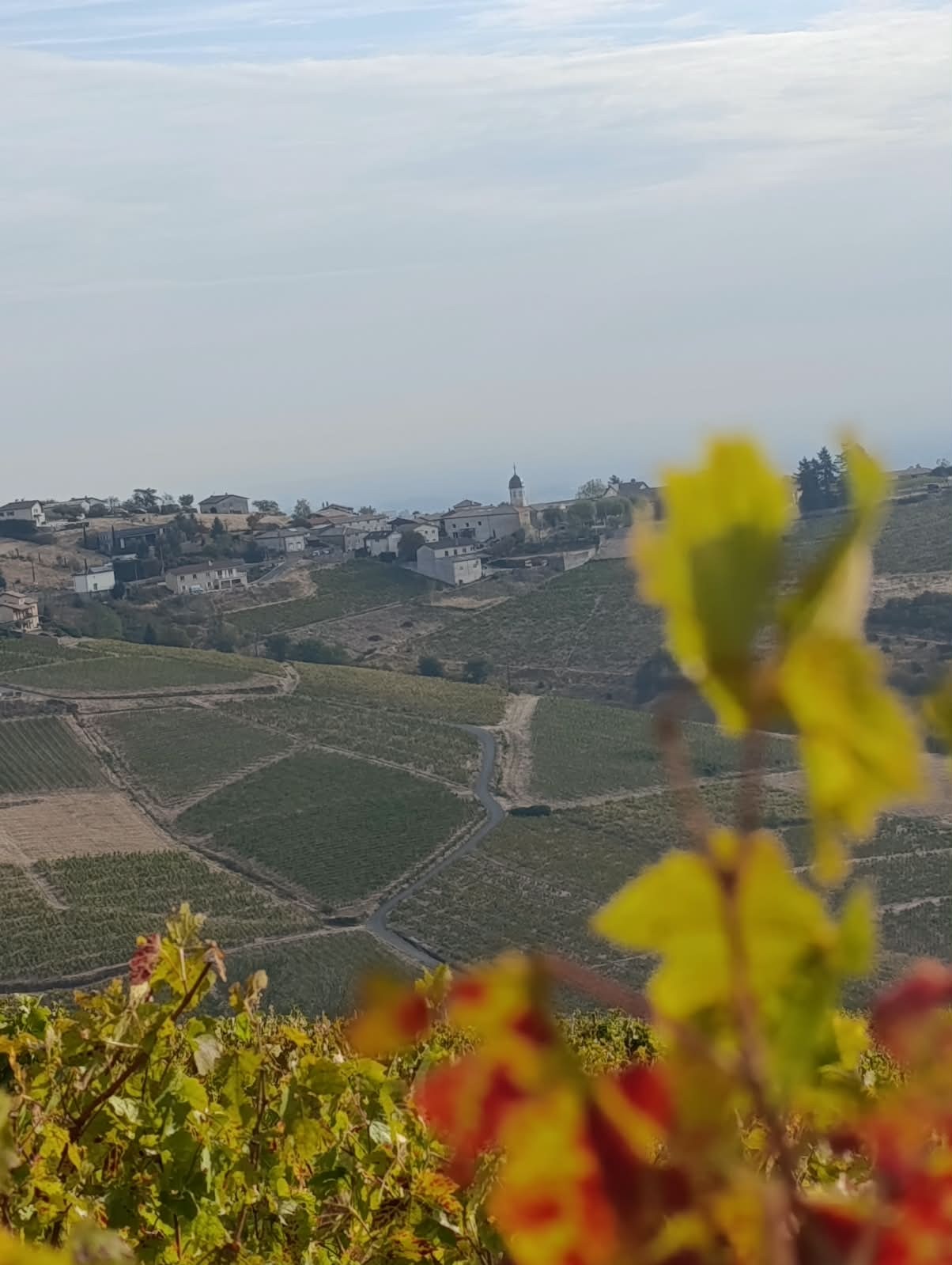 Img 20261004 wa0007