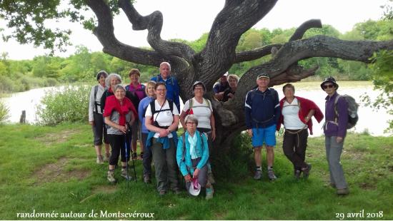 R6 20180429 112419 0